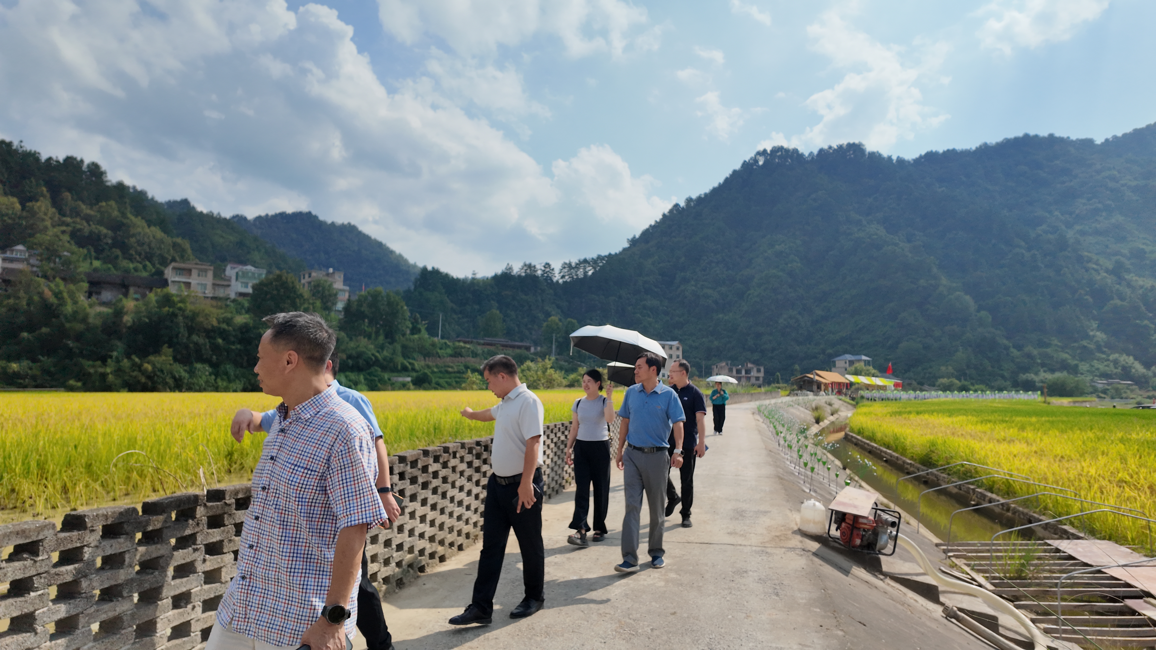 深化校地产业对接 党建助力乡村振兴——多支部赴台江县开展党...